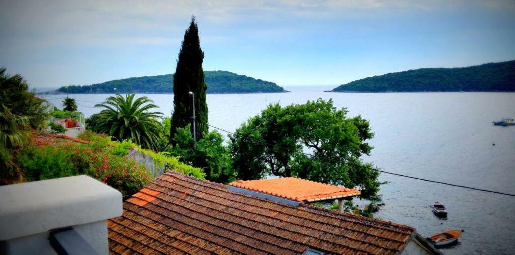 Villa Riva Molunat Luaran gambar